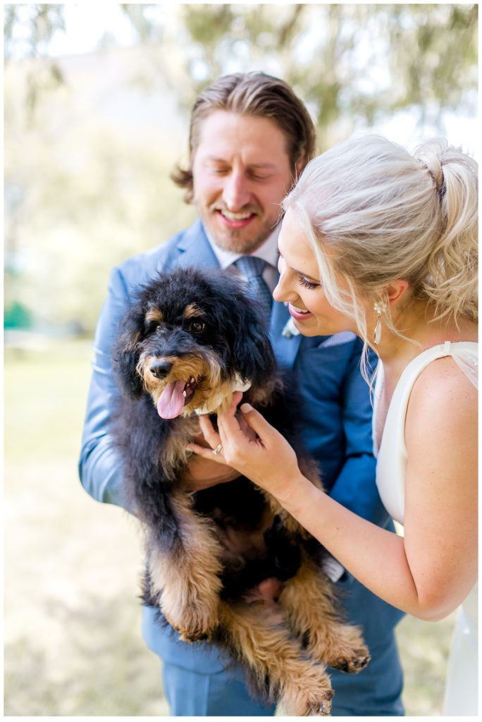 Bernedoodle Ring Bearer Puppy at Wedding