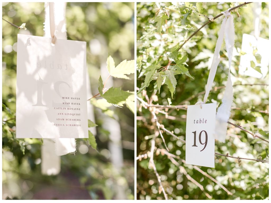 Ribbon Table Numbers