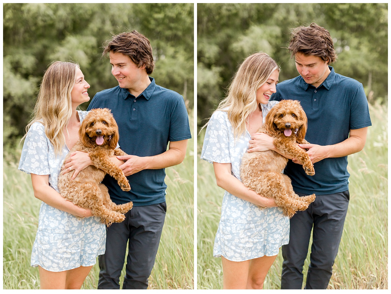 golden doodle puppy at engagement photos